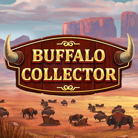 Buffalo Collector